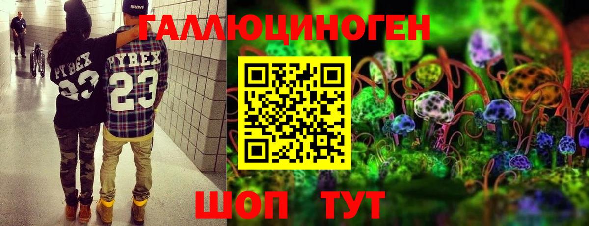Черногорск  Галлюциногенные грибы Psilocybine cubensis  Вход с VPN  Псилоцибиновые грибы Cubensis 